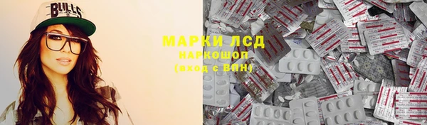 прущие грибы Абинск