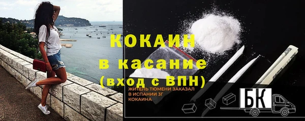 прущие грибы Абинск