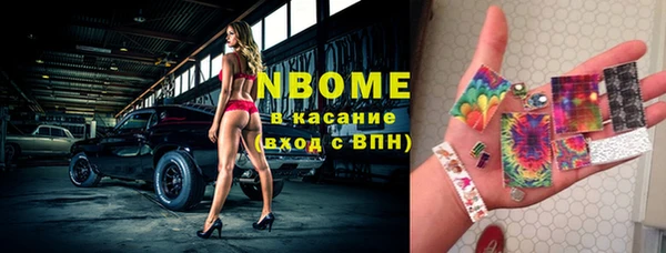 прущие грибы Абинск