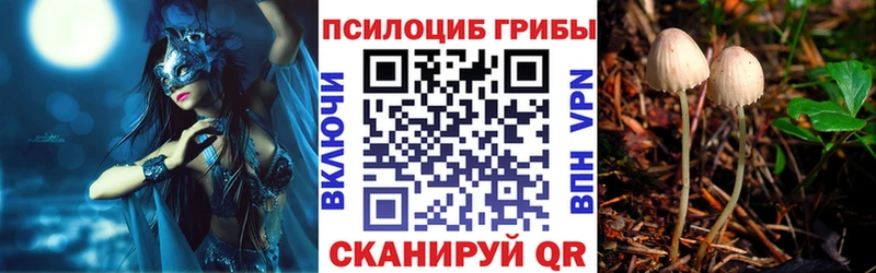 МЕГА как войти  сколько стоит  Вытегра  Псилоцибиновые грибы GOLDEN TEACHER 